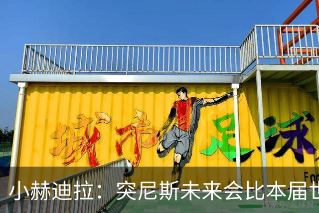 小赫迪拉：突尼斯未来会比本届世界杯更好 批评？我已经付出全力